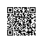 RG2012P-304-B-T1 QRCode