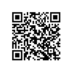 RG2012P-4992-B-T5 QRCode