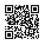 RJ13P500 QRCode