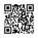 RJHSE538702 QRCode
