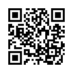 RJHSE538CA2 QRCode