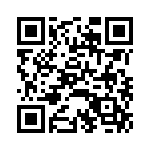 RJHSE538N04 QRCode