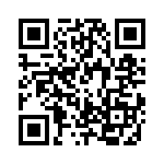 RJHSEE381A4 QRCode