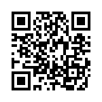 RJHSEJ384A8 QRCode