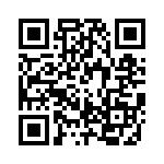 RJLSE4138101T QRCode