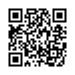 RJLSE6016101T QRCode