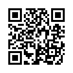 RJSNE538308 QRCode