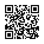 RM062PJ133CS QRCode