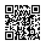 RMCP2010JT2M40 QRCode