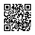 RN55C1370BRSL QRCode