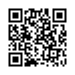 RN55E3832BRSL QRCode