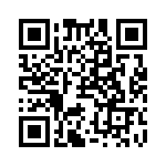 RN60E4121FR36 QRCode