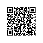 RNC55H1002BSR36 QRCode