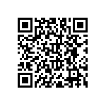 RNC55H1010BSRSL QRCode