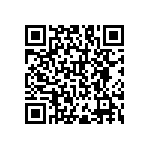 RNC55H1024FSBSL QRCode