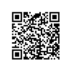 RNC55H1063BSBSL QRCode