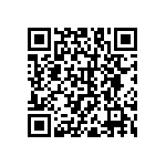 RNC55H1101DSRE6 QRCode