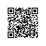 RNC55H12R1BSBSL QRCode