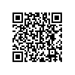 RNC55H1304BSRSL QRCode