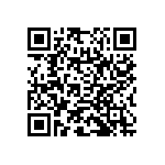 RNC55H1333BSRE6 QRCode