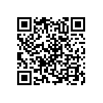 RNC55H1381BSRSL QRCode