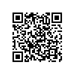 RNC55H1563BSBSL QRCode