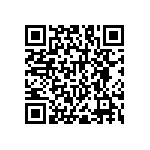 RNC55H1651BSBSL QRCode