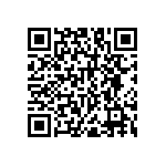 RNC55H1653BSRSL QRCode