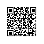 RNC55H1720BSBSL QRCode