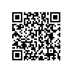 RNC55H1763BSBSL QRCode