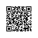 RNC55H17R8FSRE6 QRCode