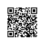 RNC55H1913BSR36 QRCode