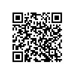 RNC55H2080BSBSL QRCode