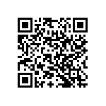 RNC55H2082DPBSL QRCode