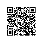 RNC55H2132BSBSL QRCode