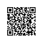 RNC55H2211BRBSL QRCode