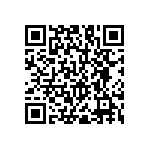 RNC55H2491BSBSL QRCode