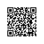 RNC55H2493DSBSL QRCode