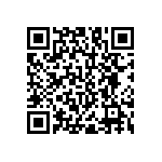 RNC55H2551BSBSL QRCode