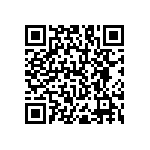 RNC55H2870BSRSL QRCode