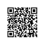 RNC55H3051DSRSL QRCode