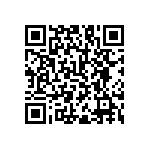 RNC55H30R1FSB14 QRCode