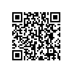 RNC55H3161FSR36 QRCode