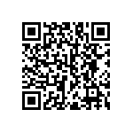 RNC55H3163FSR36 QRCode