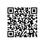 RNC55H4171BSRSL QRCode