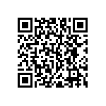 RNC55H4173BSRSL QRCode