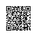 RNC55H5111BSBSL QRCode