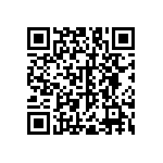 RNC55J1313BSB14 QRCode