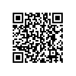 RNC55J2153BSRE6 QRCode