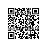 RNC55J2202BSRE6 QRCode